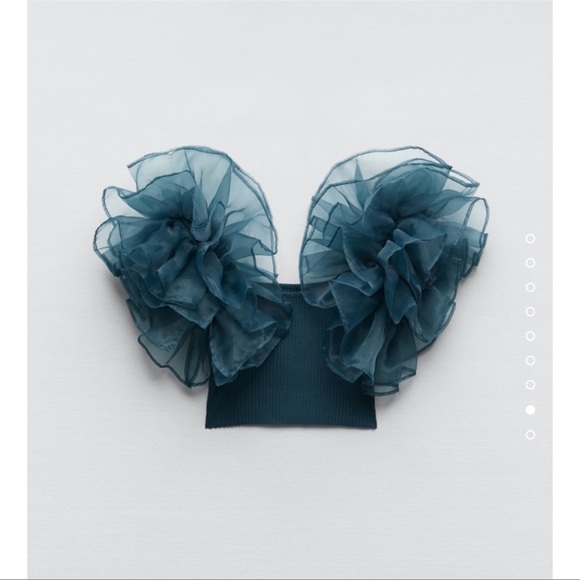 Zara Contrasting Organza Top - Picture 9 of 9